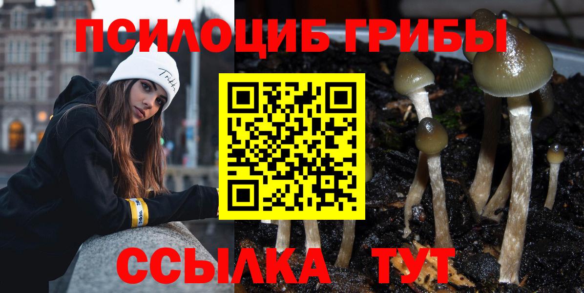 наркота  Галлюциногенные грибы Psilocybe  Вход с VPN  Гуково 