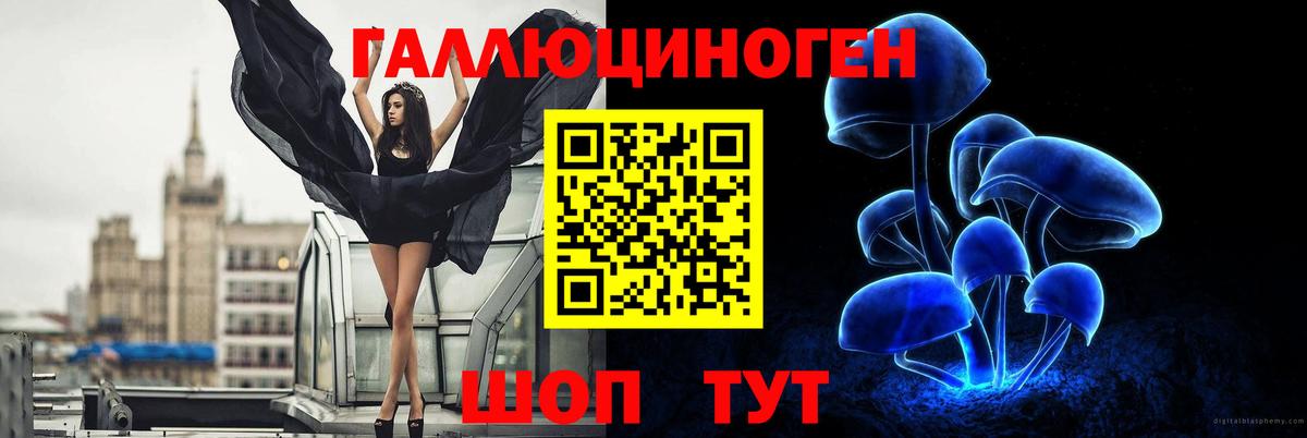 Галлюциногенные грибы Psilocybe Гуково